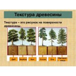 Виды и размеры досок из древесины хвойных и лиственных пород
