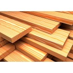 Породы древесины для строительства и отделки: особенности, технические параметры, область применения